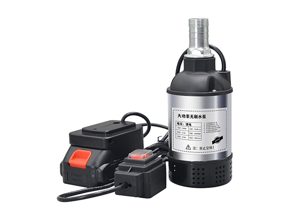 Brushless Water Pump