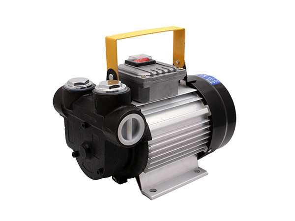 Portable oil well pump