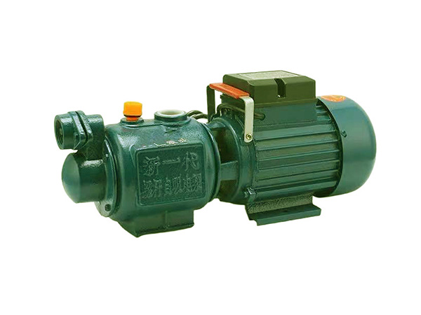 Single phase self-priming screw pump
