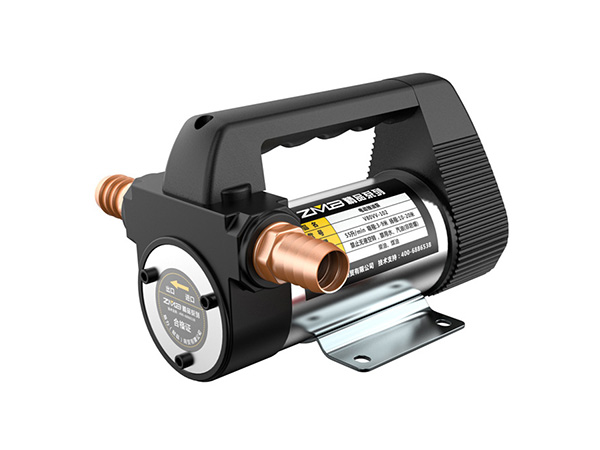 Forward and reverse electric oil pump